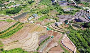 농민수당 자격 확인