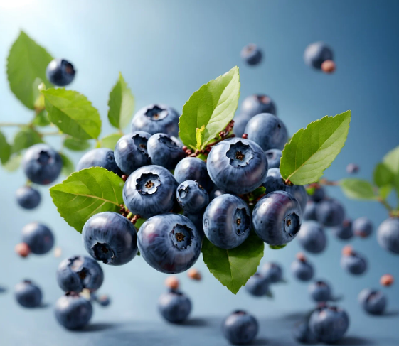 세계적으로 영양가 높은 슈퍼푸드