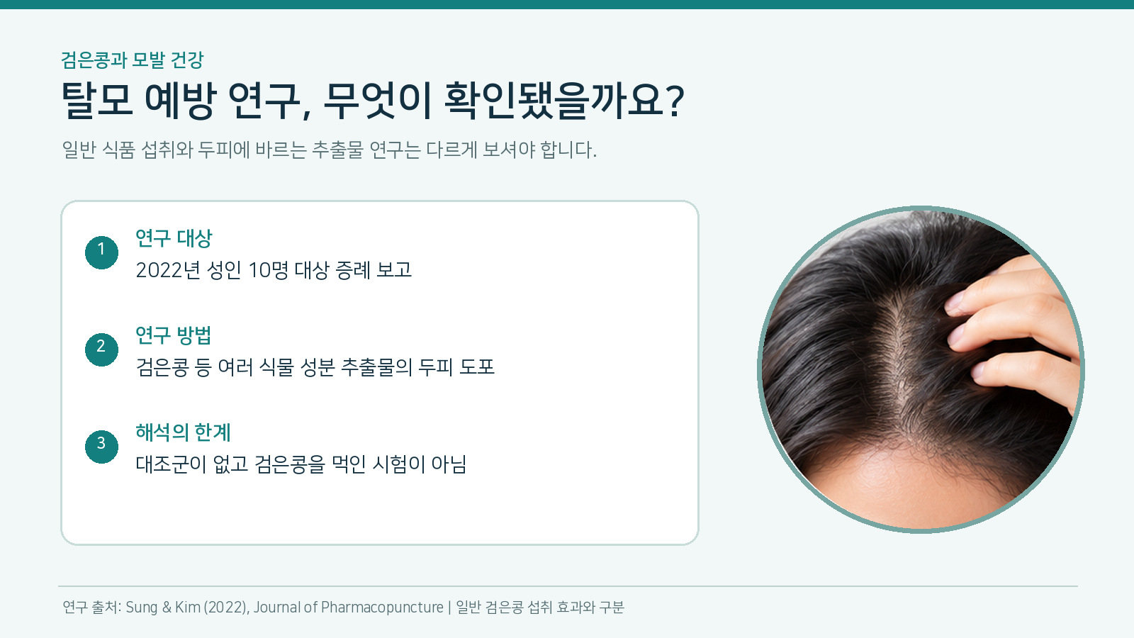 검은콩 관련 모발 연구의 대상과 두피 도포 방법, 식품 섭취 연구가 아니라는 한계를 정리한 발표자료형 인포그래픽