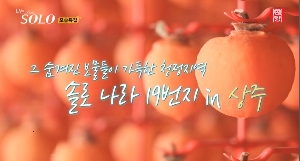 경상도 상주에서 모태솔로 특집 시작. ...