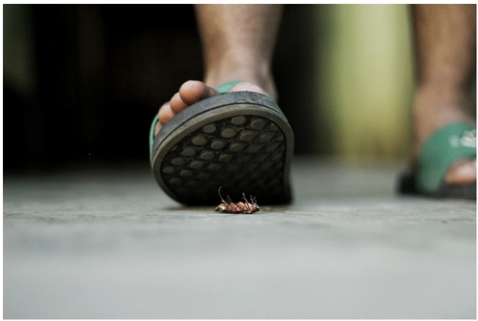 바퀴 벌레를 밟고 있다