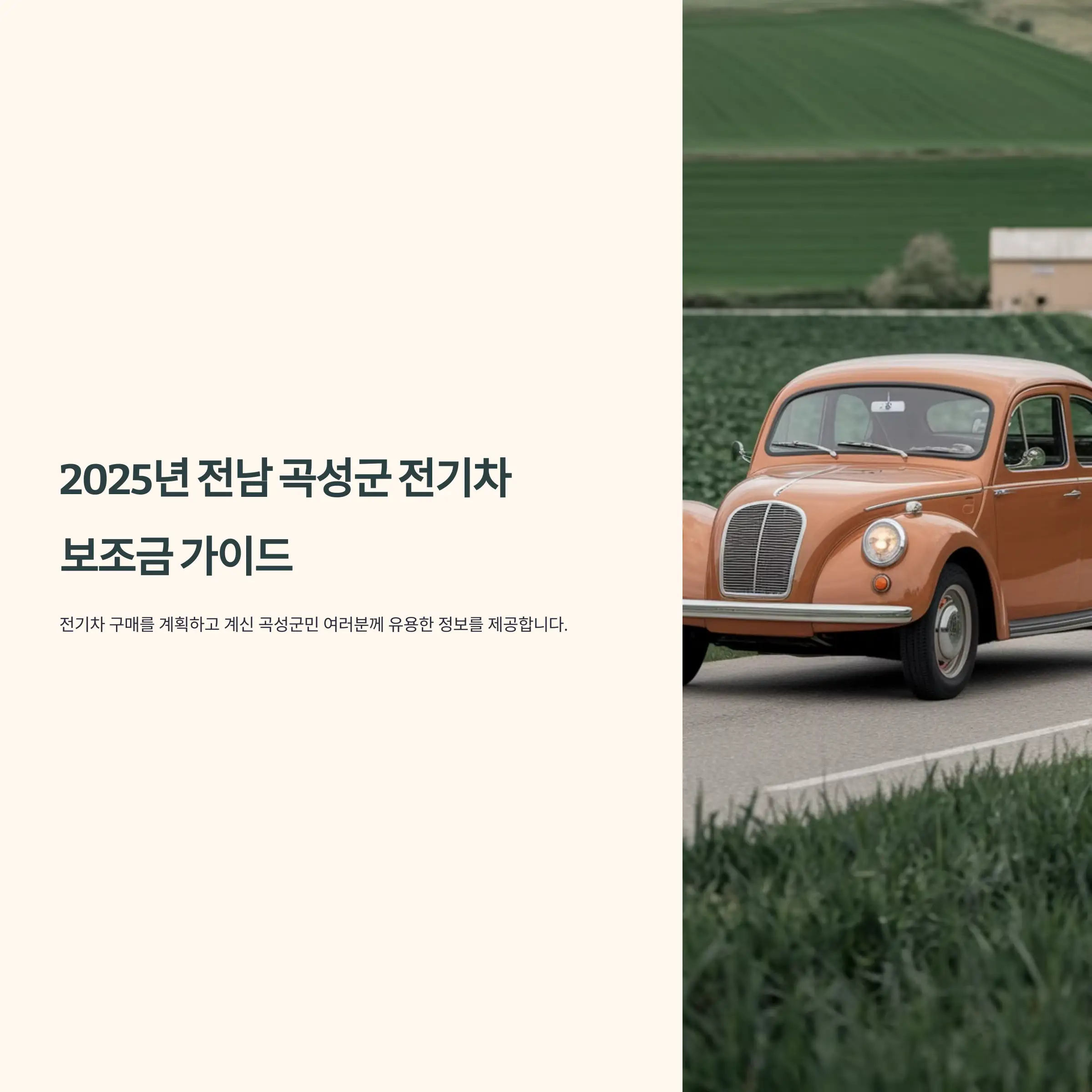 2025년 전남 곡성군 전기차 보조금