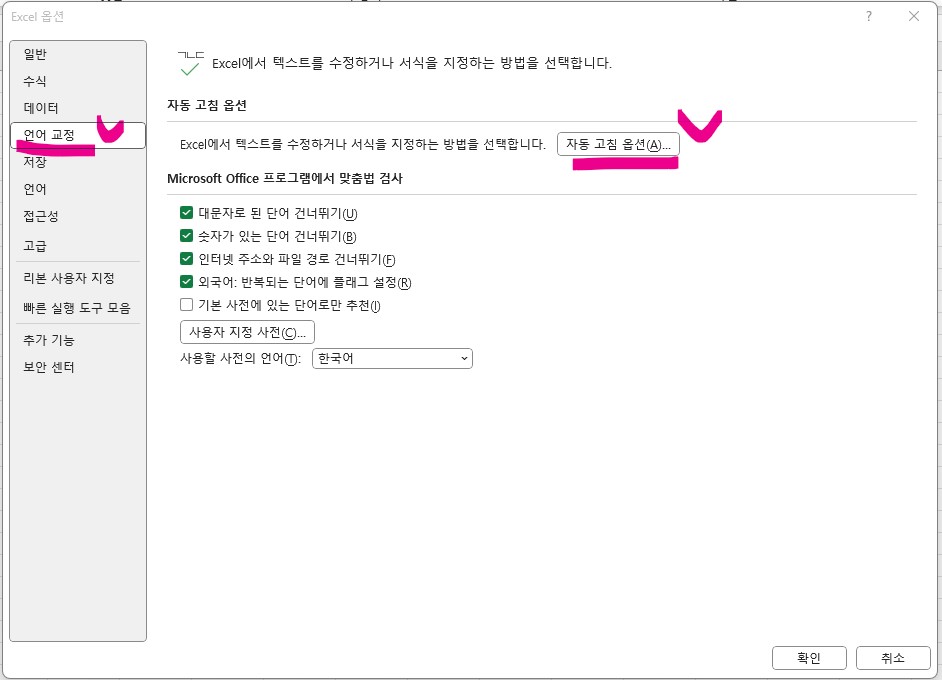 엑셀 입력문자의 자동고침, 변환 메뉴