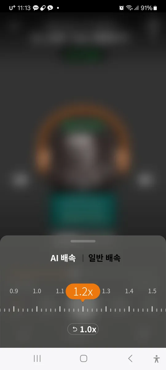 AI 배속기능