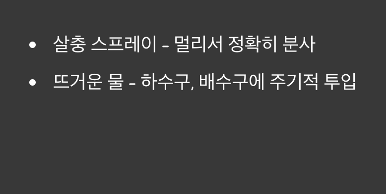 눈앞의 벌레, 당장 퇴치하는 법