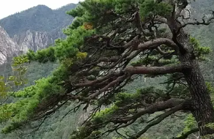 설악산 케이블카 전경