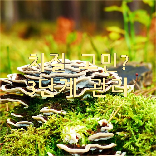 치질, 숨기지 마세요! 고통 없는 일..