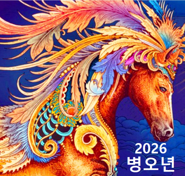 병오년 운세