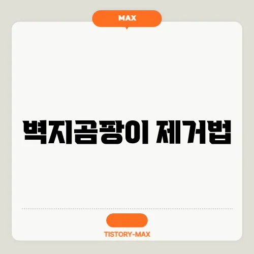 벽지곰팡이 제거법