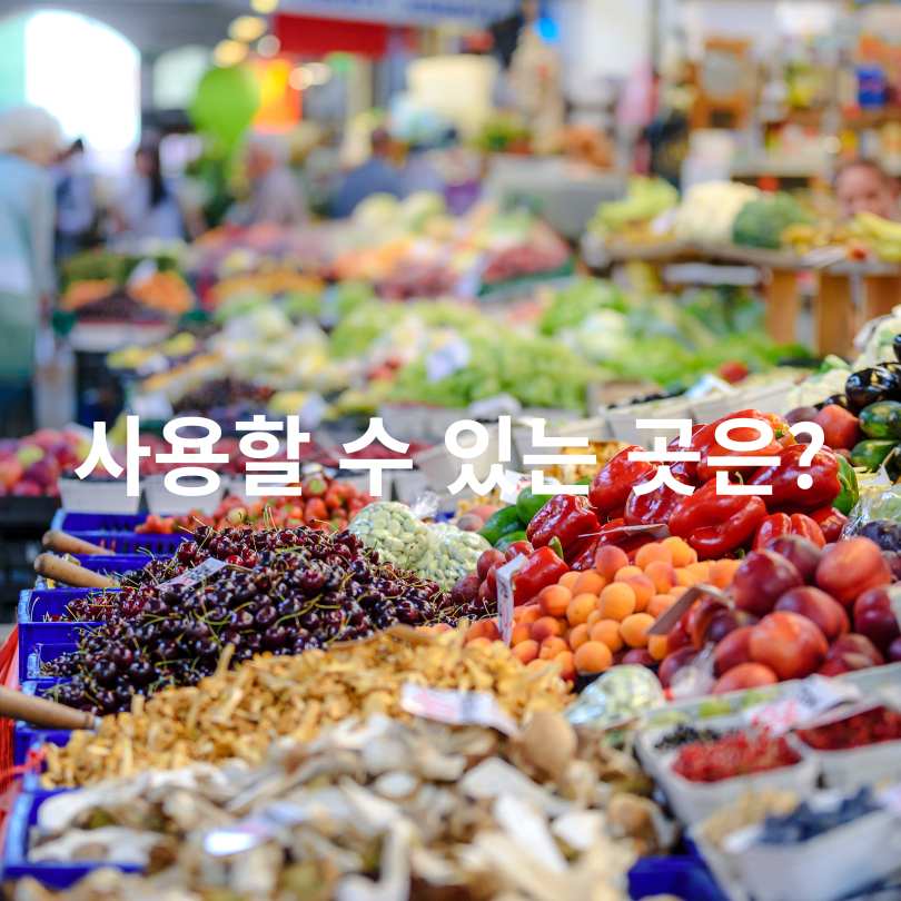 민생회복 소비쿠폰 1만 원 더 받기:서울페이