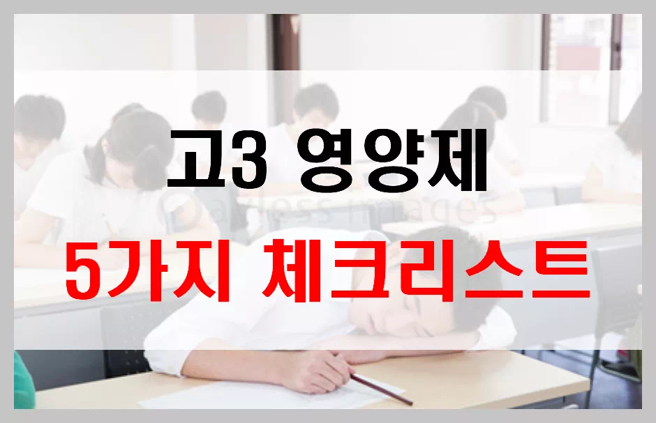 고3영양제 5가지 체크리스트