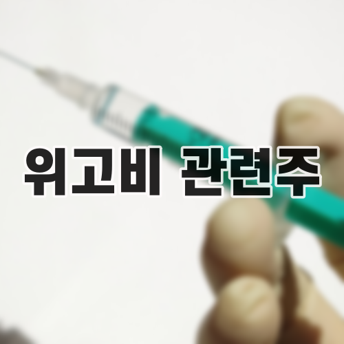 위고비 관련주