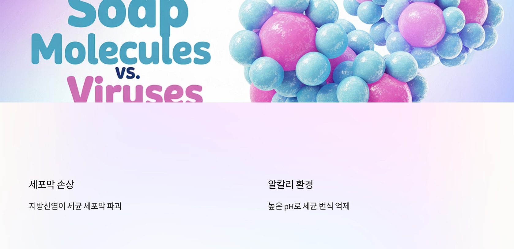 비누 성분이 미생물에 미치는 영향