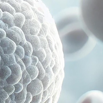 백혈구 수치가 낮으면 나타나는 증상