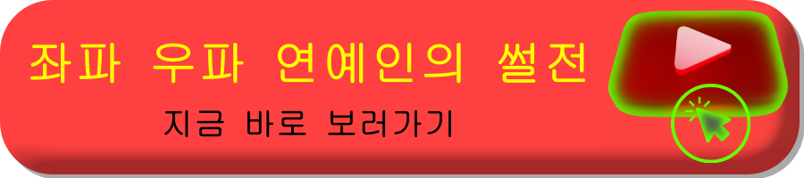 좌파 우파 뜻