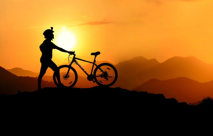 자전거 타는 법 초보 가이드 안전하고 쉽게 배우는 방법