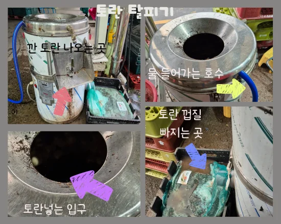 토란 껍질 깎아주는 탈피기 작동 모습