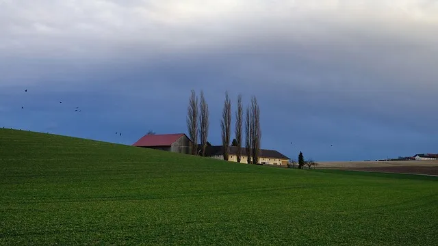 토지(임야)대장