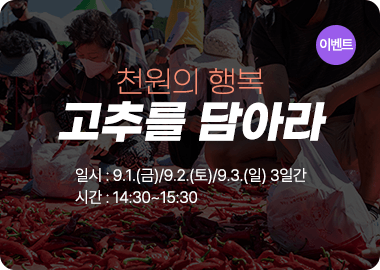 청양고추구기자축제