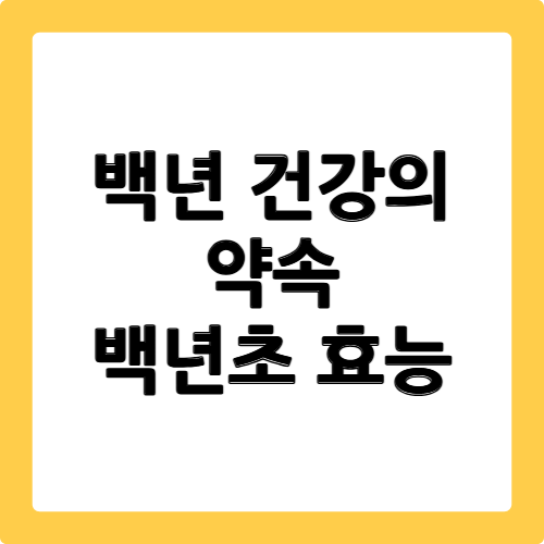 백년초 효능