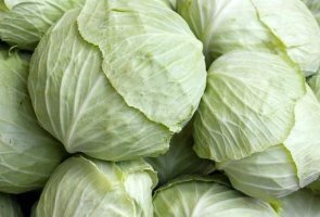 유방암에 좋은 음식