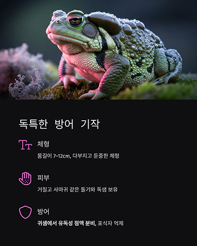 거칠고 독성 있는 피부