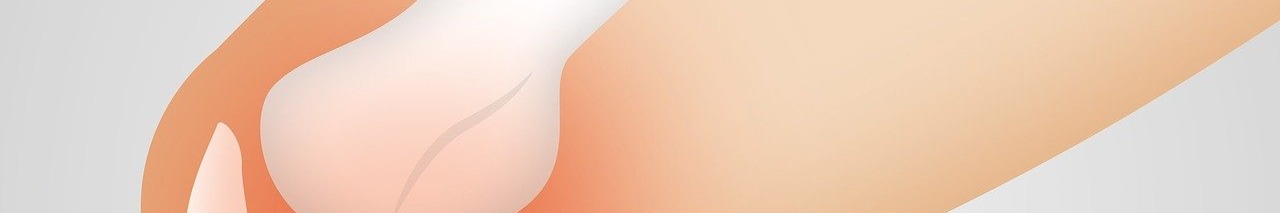 콘드로이친 효능 이미지