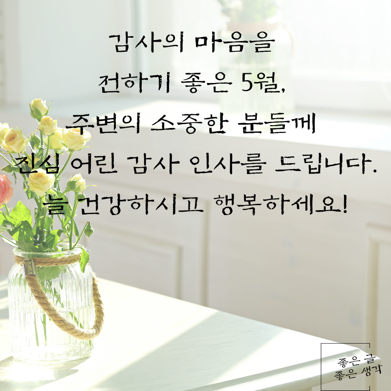 5월 인사말 문구 이미지 모음집 카톡 문자 메세지