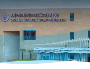 사천 바다케이블카 요금