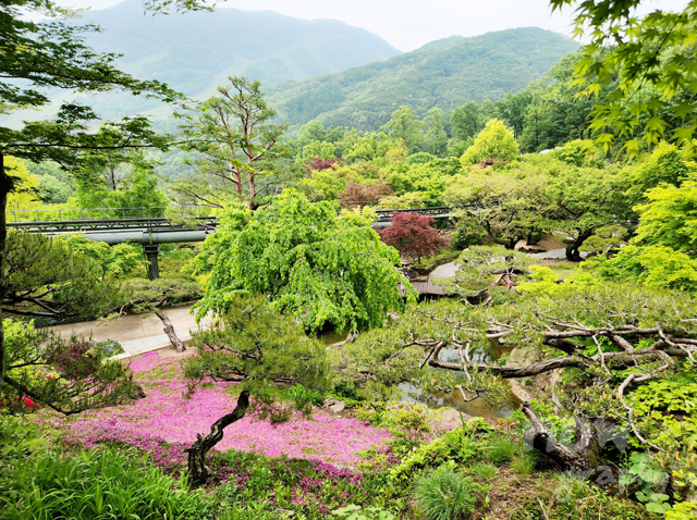 화담숲