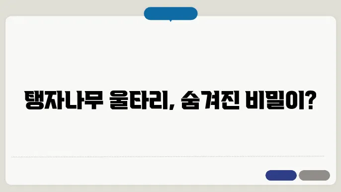 탱자나무 울타리