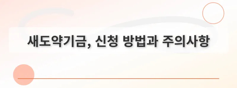 새도약기금, 신청 방법과 주의사항