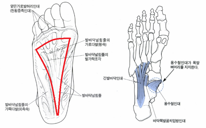아치의 구조