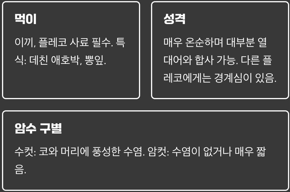안시롱핀 종류 총정리 (골드, 레드, 블랙, 알비노)
