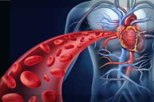 아보카도-효능-및-부작용