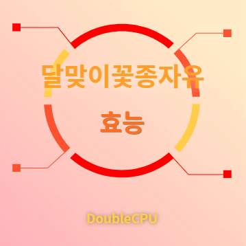 달맞이꽃종자유 효능