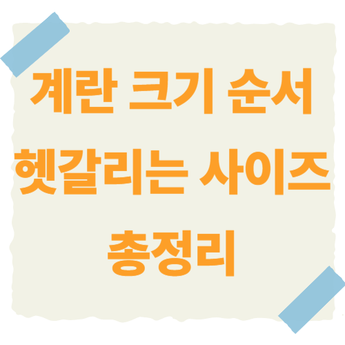 계란-크기-순서-종결-썸네일