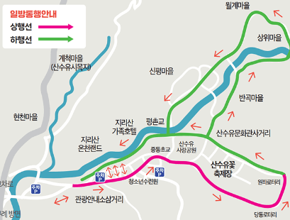 구례산수유축제