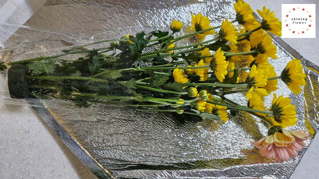 꽃님이-제철꽃 10송이 미니생화다발 구매-언박싱