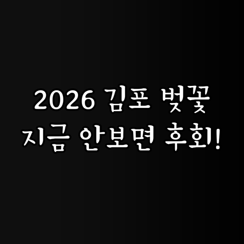 2026년 김포 벚꽃 명소별 특징 개..