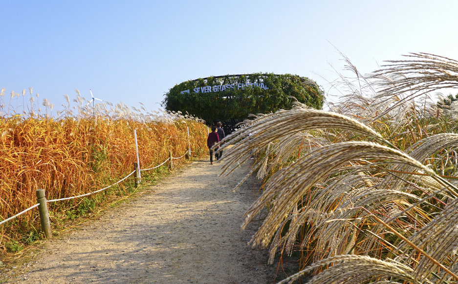 하늘공원 이미지