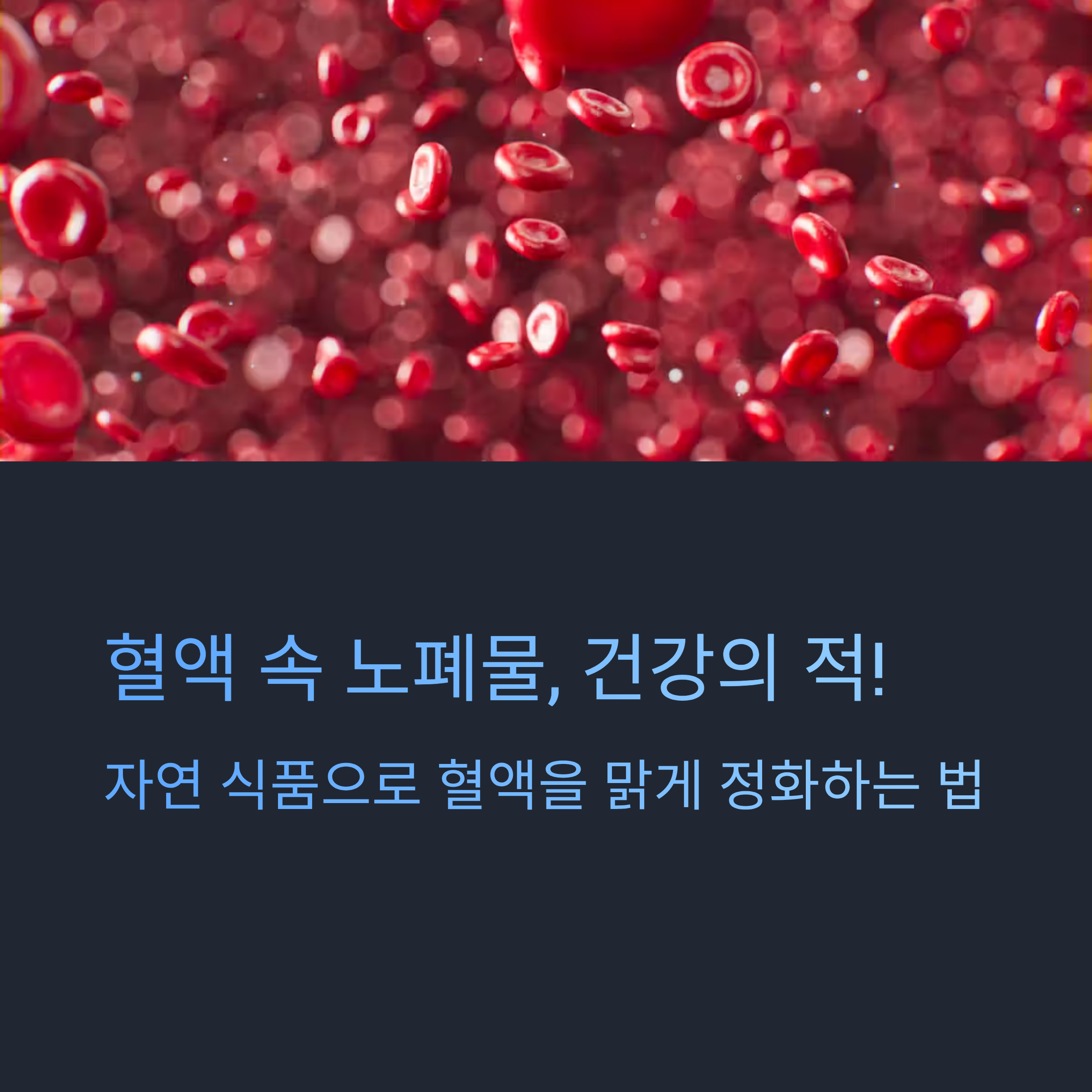 혈액 정화에 좋은 음식