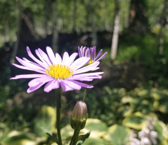 화담숲 예매하기