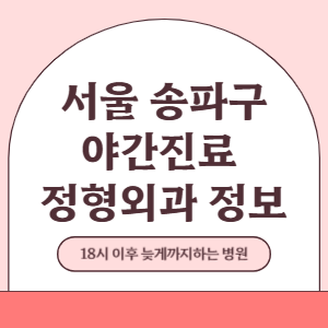 서울 송파구 야간진료 정형외과 병원 (18시 이후 늦게까지하는 병원)
