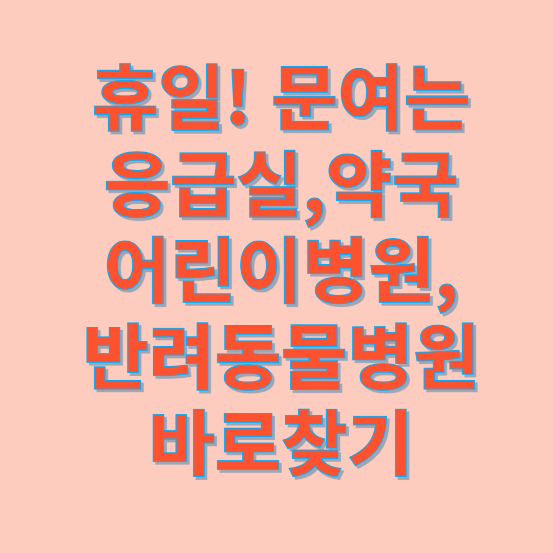 휴일 병원 약국 찾는방법