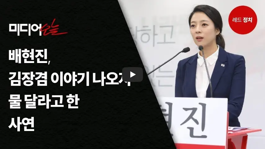 김장겸 배현진 사연