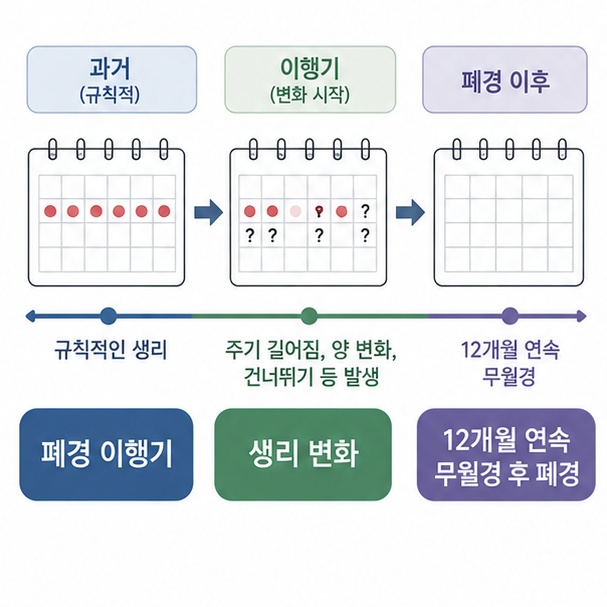 생리가 불규칙해지는 폐경 이행기를 거쳐 12개월 연속 출혈이 없을 때 폐경으로 판단하는 흐름을 보여주는 그림