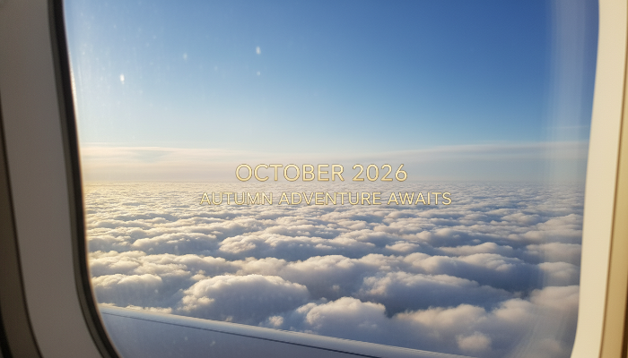 2026년 10월 황금연휴 기간의 해외여행을 상징하는 비행기 창밖 풍경