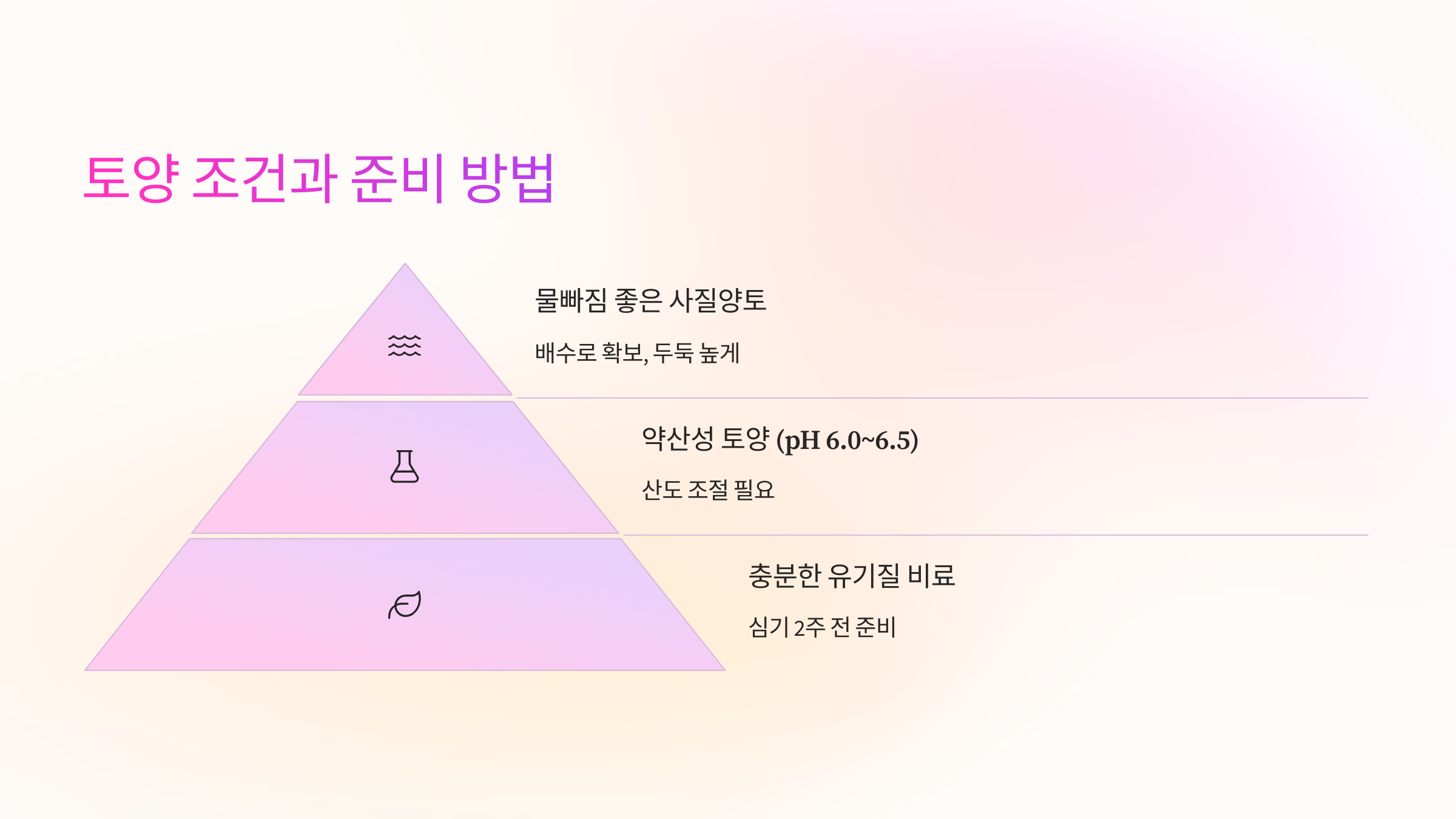 🌱 토양 조건과 준비 방법