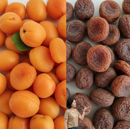 자주 묻는 질문 Q&A 2